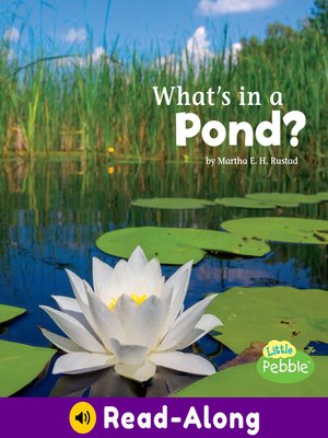 cover image of What's in a Pond?